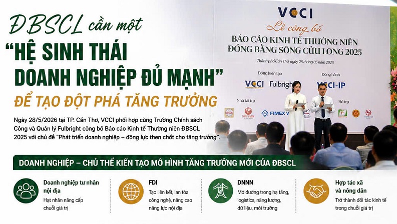 ĐBSCL cần ''hệ sinh thái doanh nghiệp đủ mạnh'' để tạo đột phá tăng trưởng